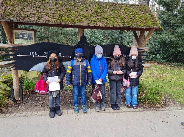 HUF_Zoo