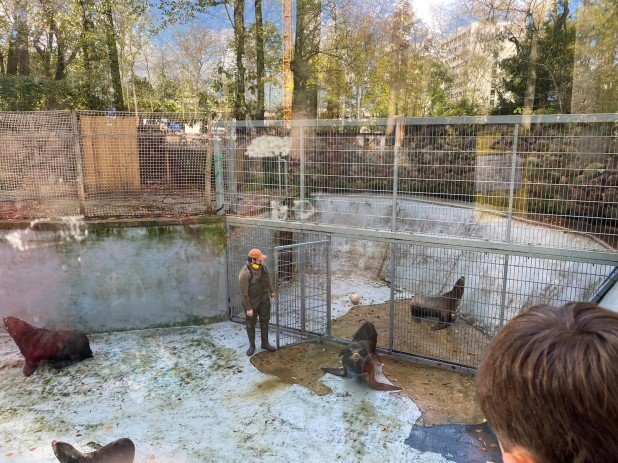 LAP_Zoo2