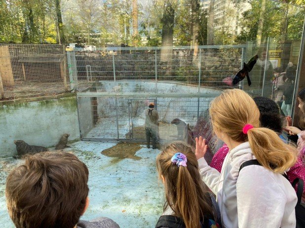 LAP_Zoo2