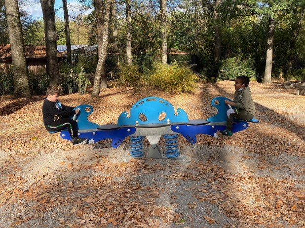 LAP_Zoo2