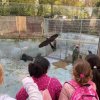 LAP_Zoo2