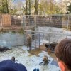 LAP_Zoo2