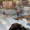 LAP_Zoo2
