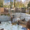 LAP_Zoo2