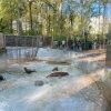LAP_Zoo2