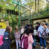 LAP_Zoo2