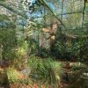 LAP_Zoo2