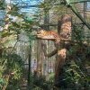 LAP_Zoo2