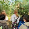 LAP_Zoo2