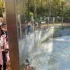 LAP_Zoo2