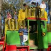LAP_Zoo2