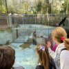 LAP_Zoo2