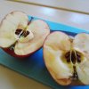 IMG-20181122-WA0023_618_463_90