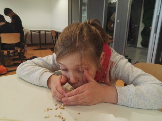 IMG-20191204-WA0004_618_463_90
