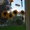 IMG-20181108-WA0000_367_490_90