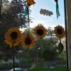 IMG-20181108-WA0003_367_490_90