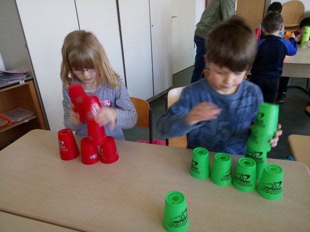 MER-Bewegung