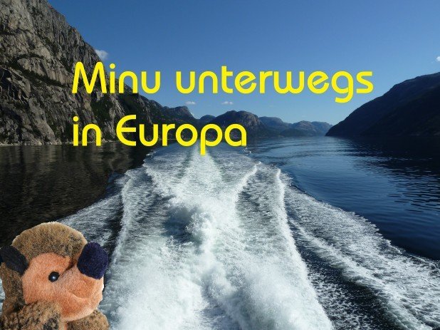 MER-Minu