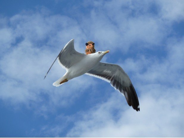 MER-Minu