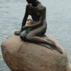 MER-Minu