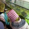 MER-Tierheim