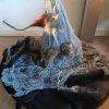 MOL-Halloween_19