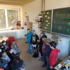 MOL-Halloween_19