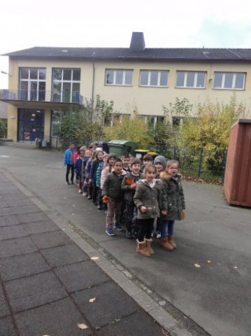 MOL-Herbst