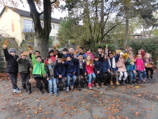 MOL-Herbst