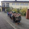 MOL-Herbst