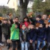 MOL-Herbst