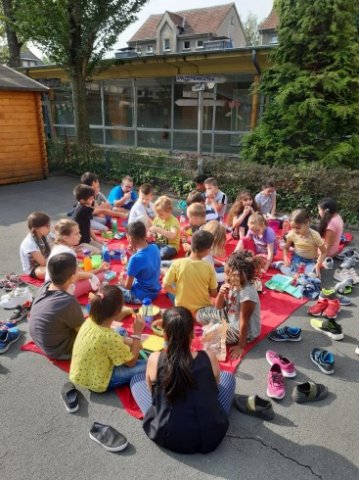 MOL-Picknick