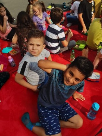 MOL-Picknick