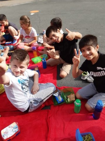 MOL-Picknick