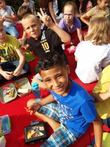 MOL-Picknick