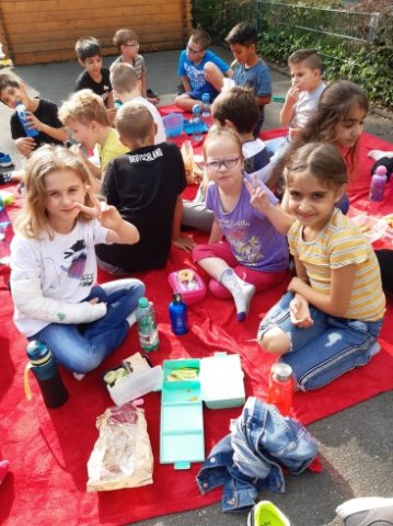 MOL-Picknick
