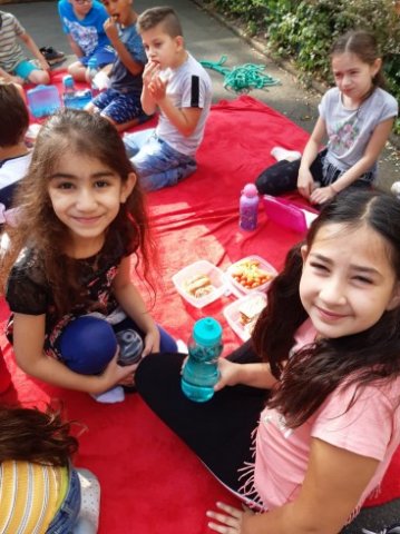MOL-Picknick