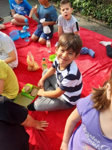 MOL-Picknick