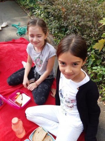 MOL-Picknick