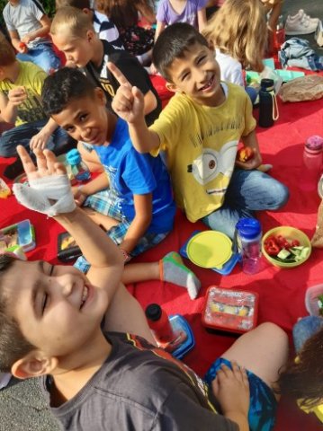 MOL-Picknick