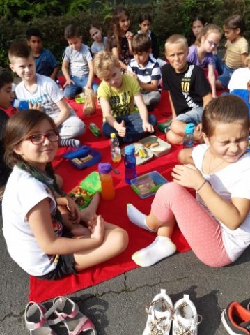 MOL-Picknick
