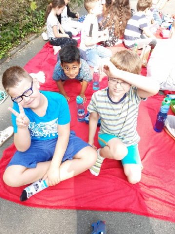 MOL-Picknick
