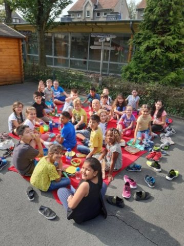 MOL-Picknick