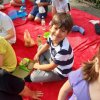 MOL-Picknick