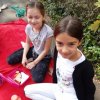 MOL-Picknick