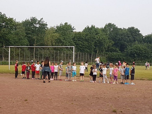 MOL-Sportfest