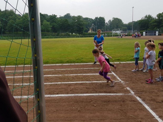MOL-Sportfest