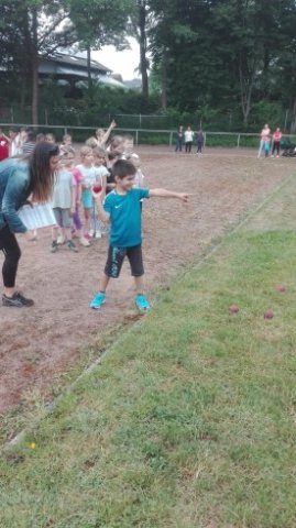 MOL-Sportfest