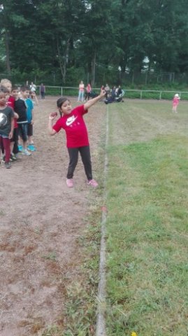 MOL-Sportfest