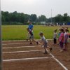 MOL-Sportfest
